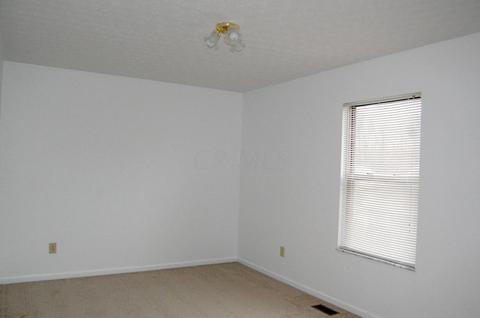 8520 Libra Rd, Dublin, OH 43016 photo 20