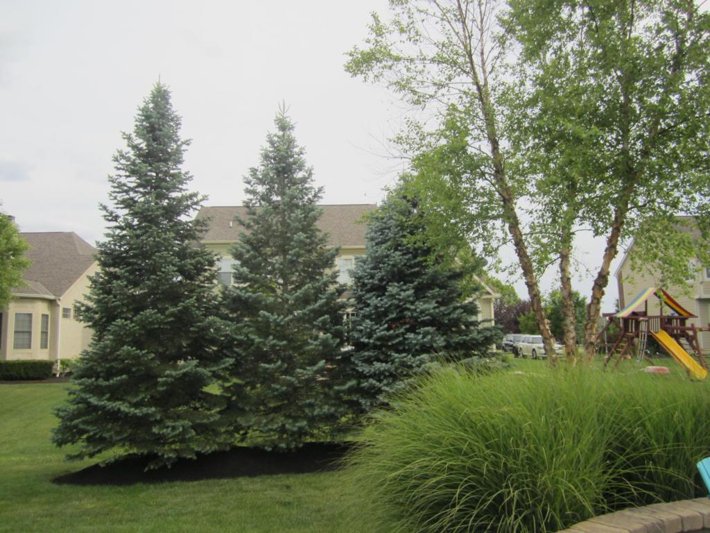 6679 Drury Rd, Dublin, OH 43016 photo 67