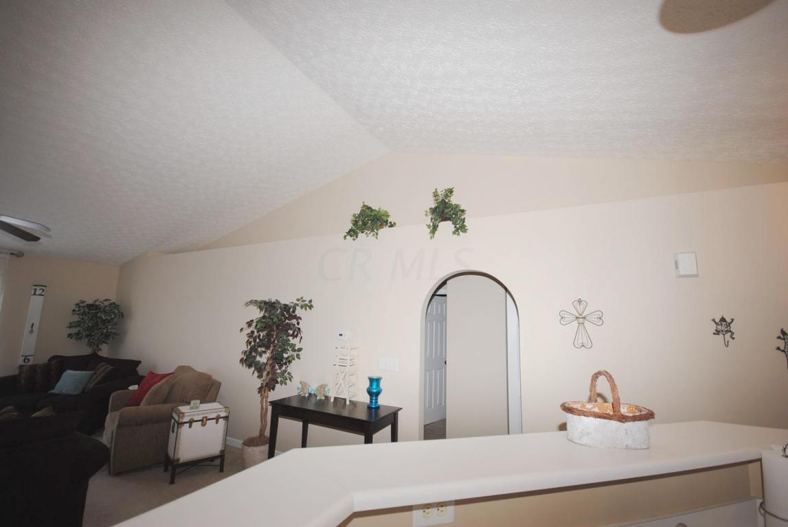 115 Tabilore Loop, Delaware, OH 43015 photo 8