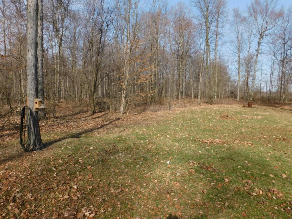2344 Painter Rd, Fredericktown, OH 43019 photo 7
