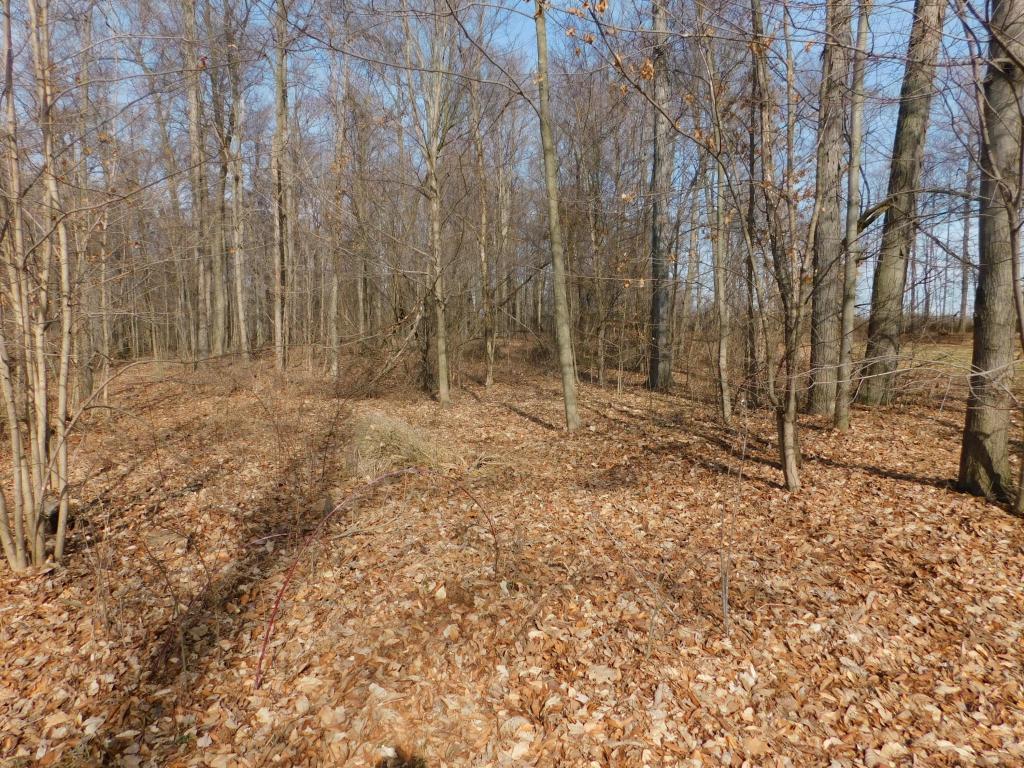 2344 Painter Rd, Fredericktown, OH 43019 photo 4