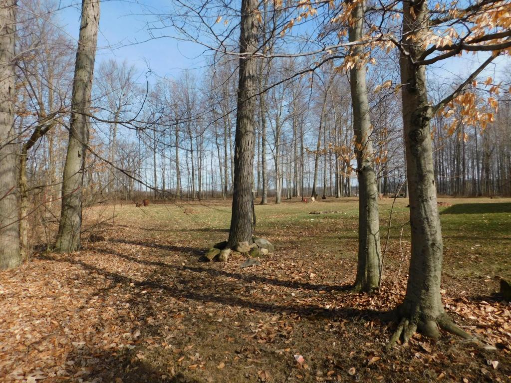 2344 Painter Rd, Fredericktown, OH 43019 photo 5