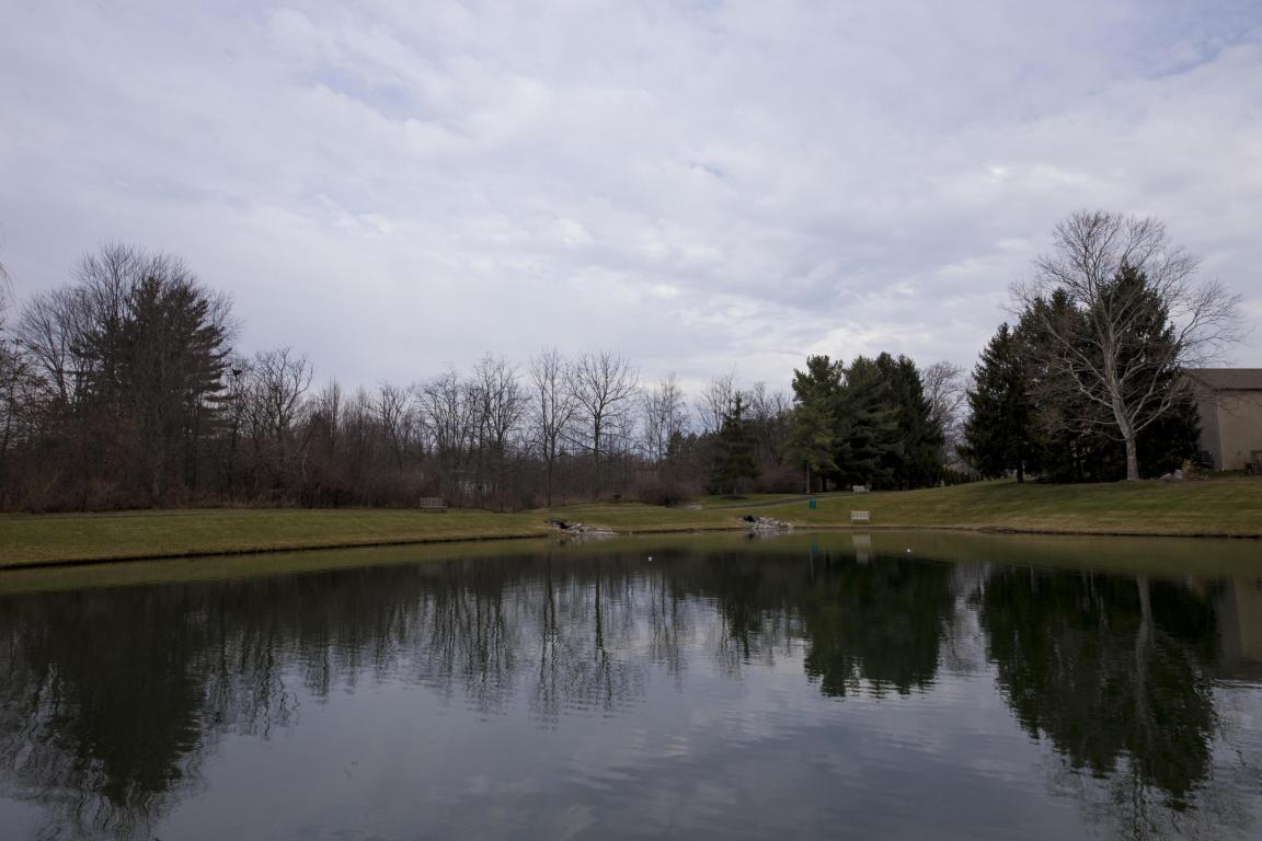 8505 Libra Rd, Dublin, OH 43016 photo 26