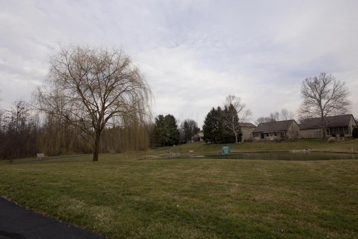 8505 Libra Rd, Dublin, OH 43016 photo 25