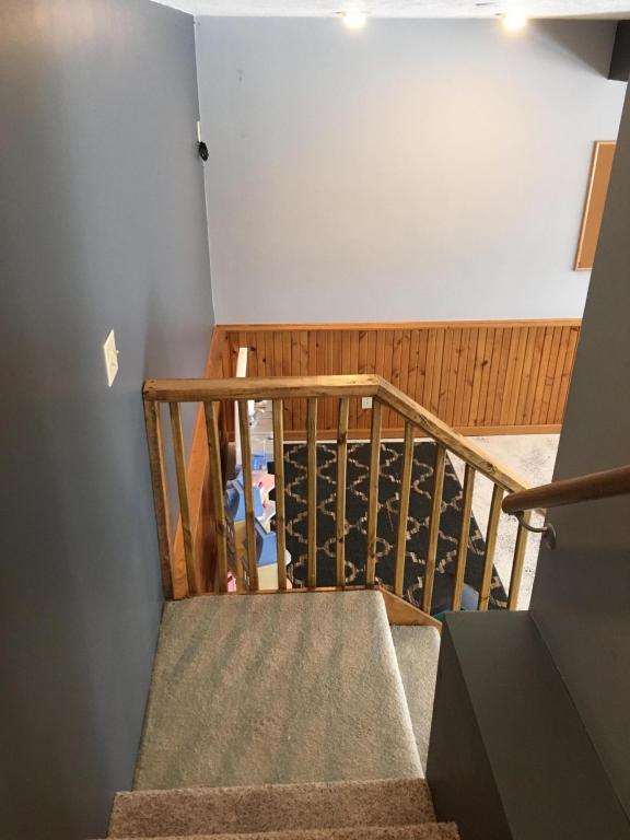 4208 Cr 65, De Graff, OH 43318 photo 38