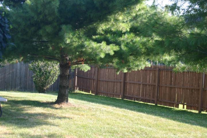 660 Buehler Dr, Delaware, OH 43015 photo 6