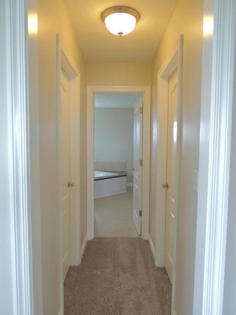 8656 Rush Rd, Orient, OH 43146 photo 34