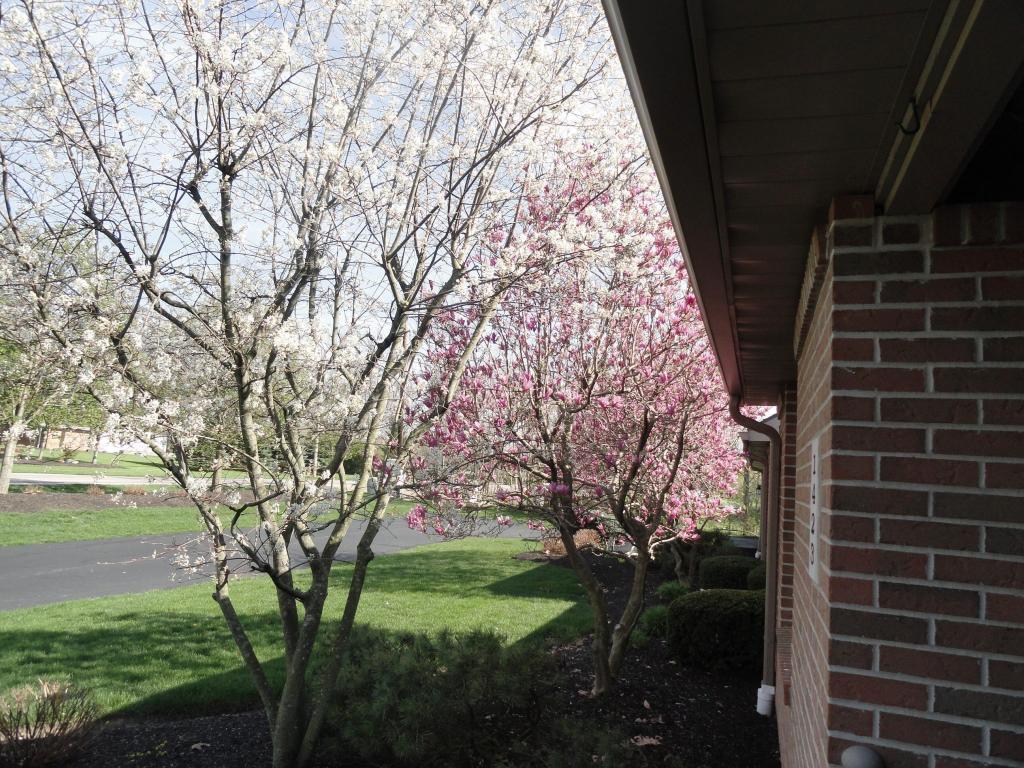1423 Eagleway, Marion, OH 43302 photo 17