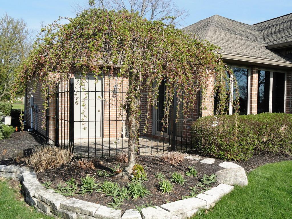 1423 Eagleway, Marion, OH 43302 photo 20