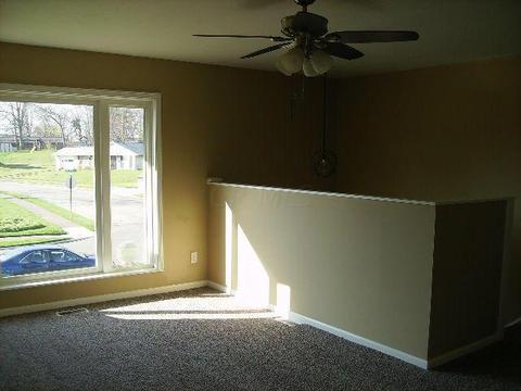 2901 Vineyard St, Springfield, OH 45503 photo 18
