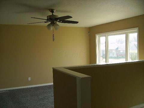 2901 Vineyard St, Springfield, OH 45503 photo 30