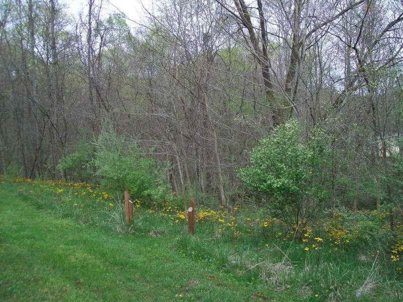 12932 Middlefork Rd, Amanda, OH 43102 photo 43