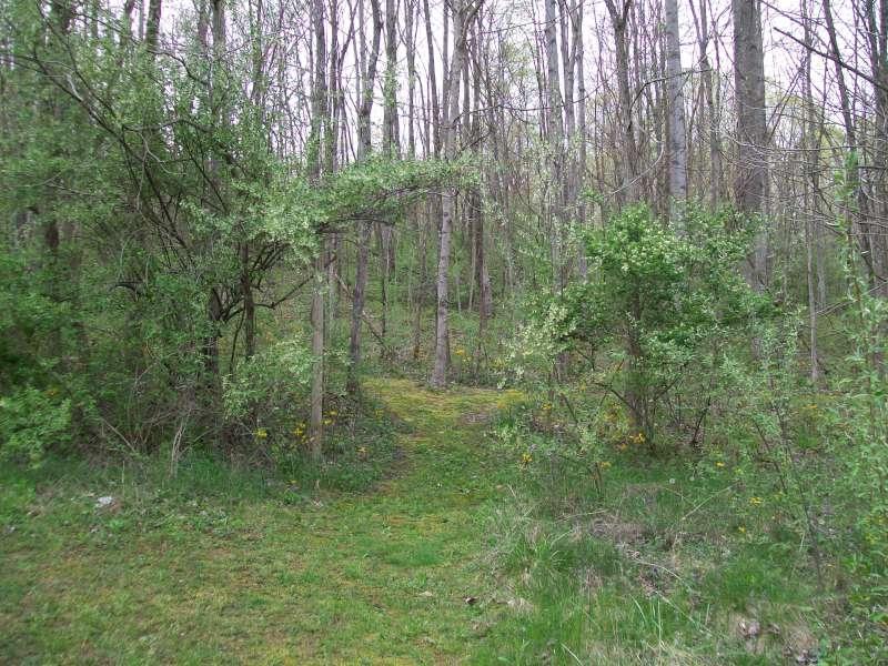 12932 Middlefork Rd, Amanda, OH 43102 photo 45