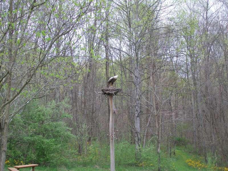 12932 Middlefork Rd, Amanda, OH 43102 photo 42