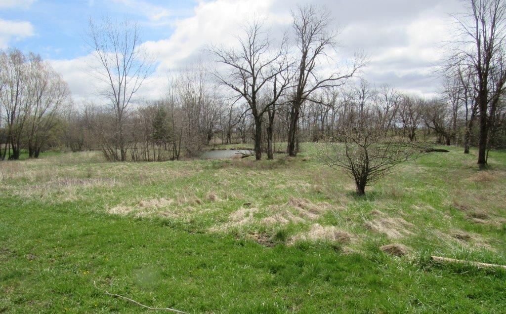 12301 Irwin Rd, Irwin, OH 43029 photo 15