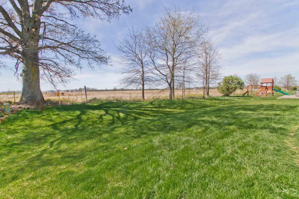 309 Tipperary Loop, Delaware, OH 43015 photo 48