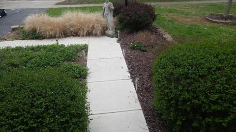 6643 Springview Dr, Westerville, OH 43082 photo 28