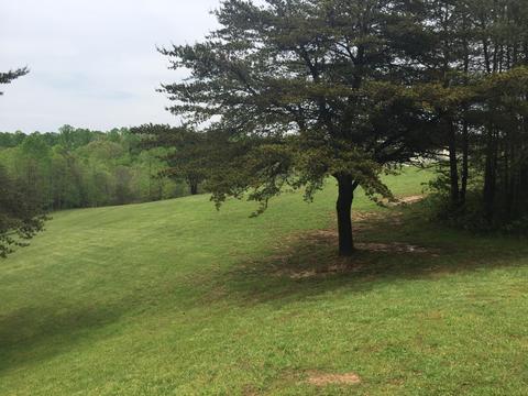 9121 Walnut Dowler Rd, Logan, OH 43138 photo 31