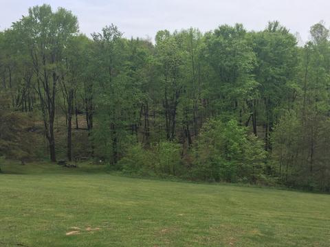 9121 Walnut Dowler Rd, Logan, OH 43138 photo 24