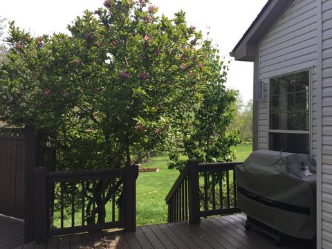 24 Dellenbaugh Loop, Pataskala, OH 43062 photo 41