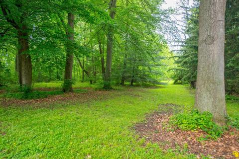 6345 Wilcox Rd, Dublin, OH 43016 photo 18