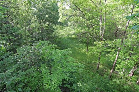 4712 E State Route 296, Cable, OH 43009 photo 7