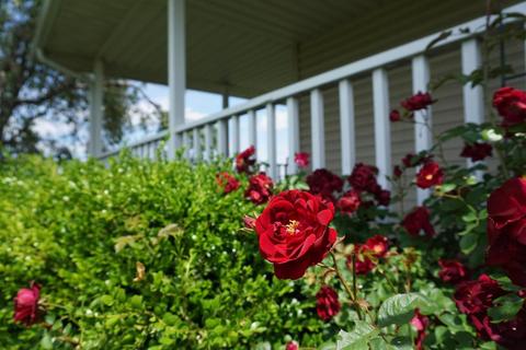1463 Bethlehem W, Prospect, OH 43342 photo 68