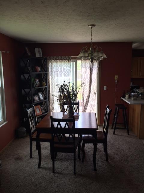 8541 Stevenson Rd, Cable, OH 43009 photo 8