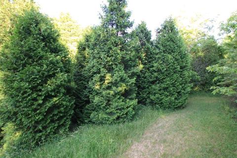 11490 Burro Ln, Orient, OH 43146 photo 52