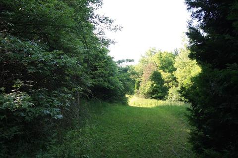 11490 Burro Ln, Orient, OH 43146 photo 51