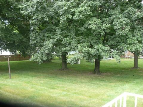 960 Circle Dr, Circleville, OH 43113 photo 9