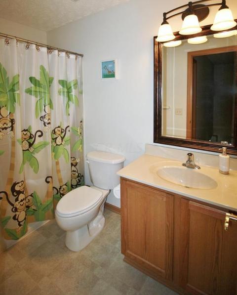 220 Brenden Loop, Delaware, OH 43015 photo 22