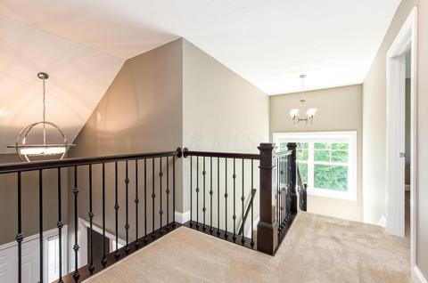 795 Elderberry Loop, Delaware, OH 43015 photo 19