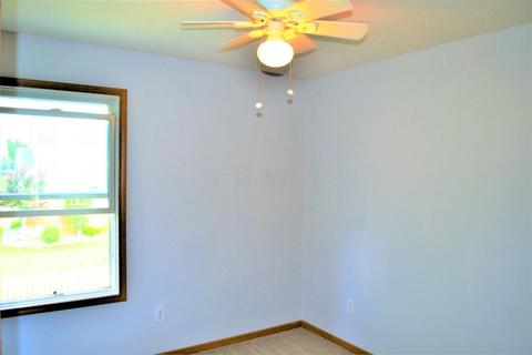 171 Ruby Red Ln, Delaware, OH 43015 photo 18