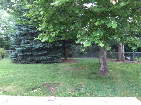 370 Apache Dr, Circleville, OH 43113 photo 8