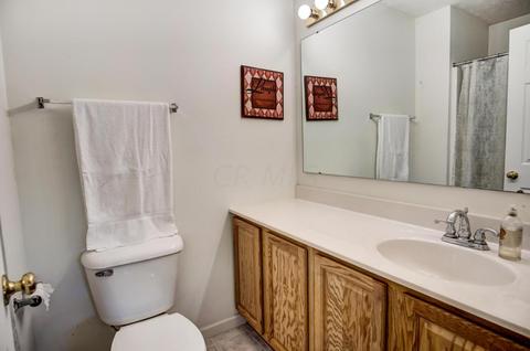 199 Heathermere Loop, Galena, OH 43021 photo 21