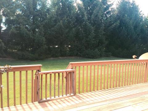 6191 Turvey Loop W, Dublin, OH 43016 photo 7