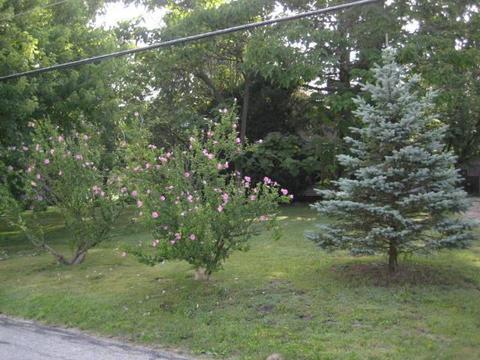 91 E Case St, Powell, OH 43065 photo 20