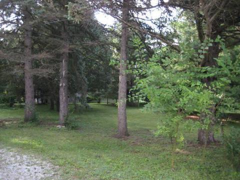 91 E Case St, Powell, OH 43065 photo 5