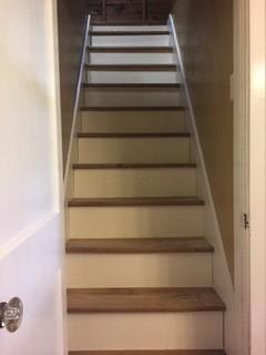 515 Chestnut St, Dresden, OH 43821 photo 31