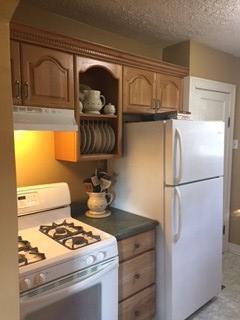 515 Chestnut St, Dresden, OH 43821 photo 28