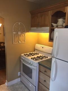 515 Chestnut St, Dresden, OH 43821 photo 29