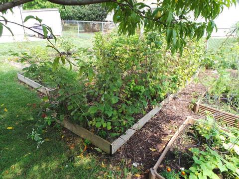 3165 Banting St, Dublin, OH 43017 photo 23