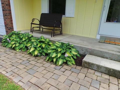 3165 Banting St, Dublin, OH 43017 photo 35