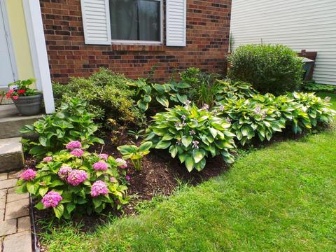 3165 Banting St, Dublin, OH 43017 photo 8