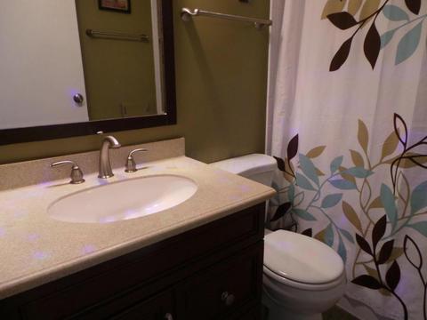 3165 Banting St, Dublin, OH 43017 photo 13