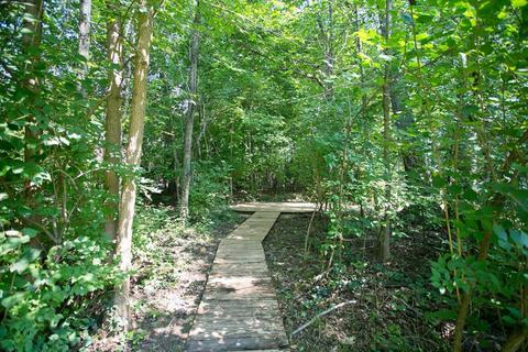 8098 Scioto Darby Rd, Orient, OH 43146 photo 69