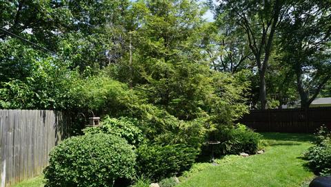 3282 Mountview Rd, Columbus, OH 43221 photo 24