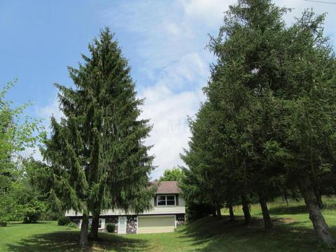 5528 State Route 296, Cable, OH 43009 photo 2