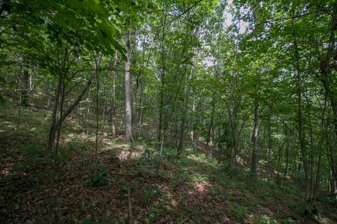 8640 Carr Bailey Rd, Millfield, OH 45761 photo 19